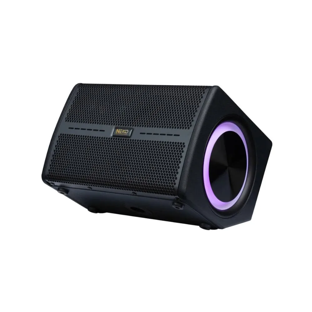 Loa di động NEKO AMK-318